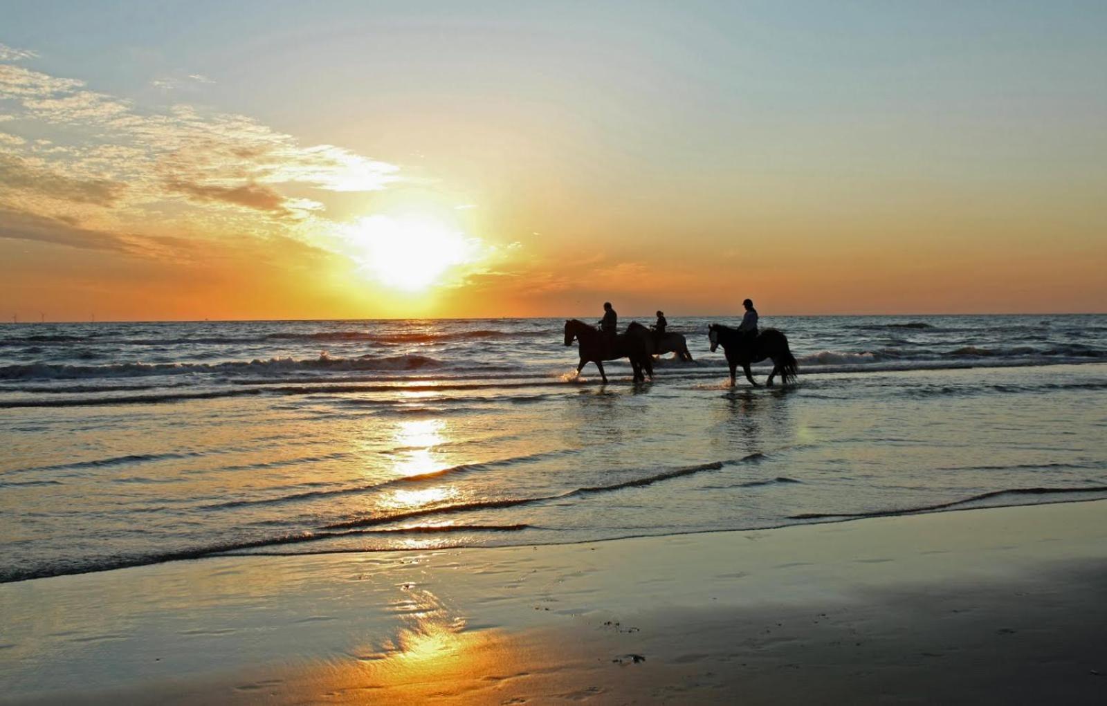 Mer Et Soleil A Blonville Sur Mer/ Deauville Εξωτερικό φωτογραφία